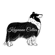 Kaymann Collies