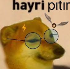 08 apr, 2019 posting komentar. 50 Ide Doge Di 2021 Lucu Meme Anjing Gambar Lucu