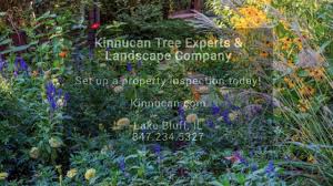 Specializing in tree care, plant health care,. Plant Health Care Kinnucan Tree Experts Landscape Company Youtube
