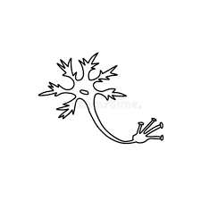 Neuron Cartoon Stock Illustrations 552 Neuron Cartoon Stock Illustrations Vectors Clipart Dreamstime So you need to be as outrageous as possible. 552 neuron cartoon stock illustrations