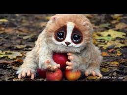 Check spelling or type a new query. 10 Animale Dragalase Pe Cale De Disparitie Youtube