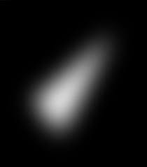 東 京 都 立 西 高 等 学 校 卓 球 部 周 年 部 史