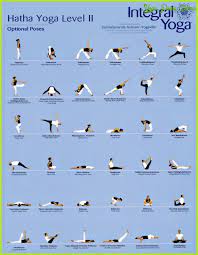 Easy Hatha Yoga Poses 22 Jpg Hatha Yoga Poses Basic Yoga Yoga Moves For Beginners