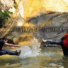 Taman rimba is situated southeast of kampung tengah. Taman Rimba Teluk Bahang Berita Viral