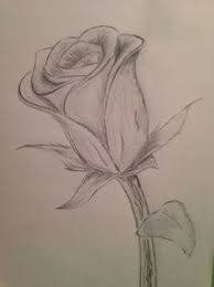 Cool Flower Drawings Visit My Youtube Channel To Learn Drawing And Coloring Floral Drawing Flower Drawing Art Drawings