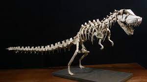 › read dead redemption 2 dinosaur bone. Mind Blowing Origami Dinosaur Skeletons Origami Me