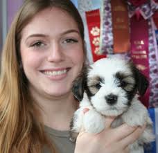 Tibet Terrier von Ma-ka-zie