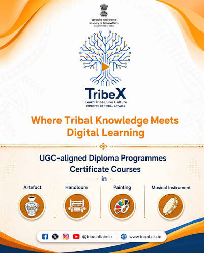 TribeX Platform
