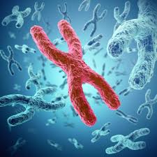 We don't know the exact cause of most pancreatic cancer, but a great deal of research is being done in this area. Causes Risk Factors Pancreatic Cancer Johns Hopkins Pathology