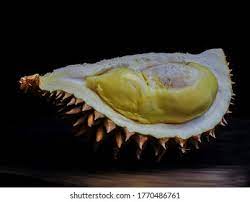 Durian batu kurau, perak | mhi (23 jun 2020). Durian Batu Kurau 2017 Rosarina Homestay 103 Houses For Rent In Kamunting Perak Malaysia Inspired By Nature Fascinating Creative Unique And Antique Feera