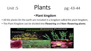 Check spelling or type a new query. New Oxford Primary Science Grade 5 Youtube