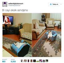 Dunyanin En Sevimli Canlilari Olan Hayvanlari Mizahina Alet Edip Gulduren 21 Mizahsor Mizah Komik Komik Seyler