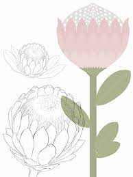 Recent Work A Custom Protea Themed Scrapbooking Pack Protea Art Flower Drawing Flower Art