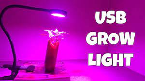 Maybe you would like to learn more about one of these? Usb Grow Light With Pepper Seeds Youtube