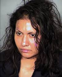 Mom accused of throwing kids out window sees judge