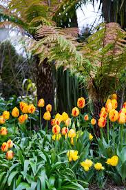Arundel Castle Im Tulpengarten Von Martin Duncan Tulpen Pflanzen Tulpen Garten Und Viktorianische Gewachshauser