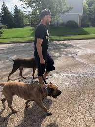 Maybe you would like to learn more about one of these? Dog Training In West Chicago Il Wagging Rights Dog Training