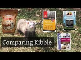 If A Kibble Must Be Fed
