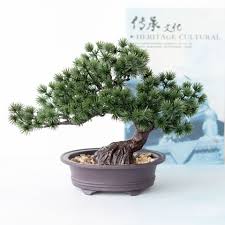 bonsai fa eladó online