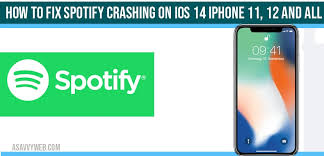 Google takes abuse of its services very seriously. How To Fix Spotify Crashing On Ios 14 Iphone 11 12 11 Pro 11 Pro Max X Xs Xs Max Xr 8 8 Plus 7 6 A Savvy Web