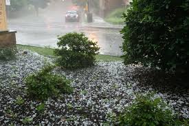 Anything larger, say a dime or a quarter (3/4 to one inch) can cause serious and severe damage. A Look At Dc Hail History After Sunday S Storms From Pennies To Softballs Wtop