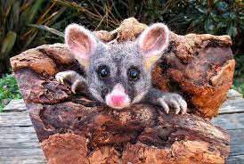 Australian Brushtail Possum Felt Animals Possum Pet Birds