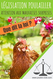 Poulailler Legislation Et Reglementation Que Dit La Loi Poulailler Jardin Poulailler Elevage De Poules