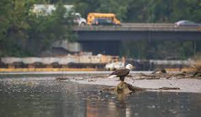 Find search query report data information. Why A Strong Epa Is Important What The Environmental Protection Agency Does Audubon