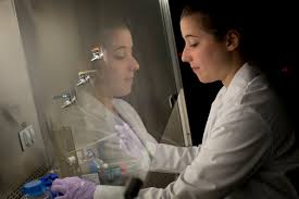 Image result for Science Environment Environmental Health Directories