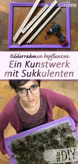 Ein Bild Mit Lebenden Pflanzen Hat Moderatorin Nadine Witt Gebaut Wir Haben Die Anleitung Zum Nachmachen In 2020 Mdr Garten Lebende Pflanzen Bilder