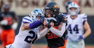 Image result for Hubbardochloa