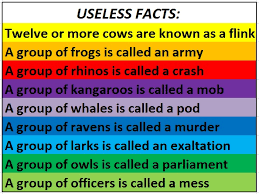 Pixie dust, magic mirrors, and genies are all considered forms of cheating and will disqualify your score on this test! Useless Facts It S Funny How Owls Are A Parliament And Officers Are A Mess Usless Facts Funny Facts Random Useless Facts