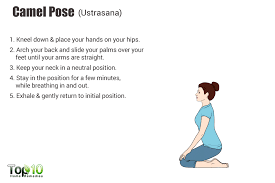 But camel is a more accessible pose for a lot of yoga students. Camel Pose Benefits Page 1 Line 17qq Com