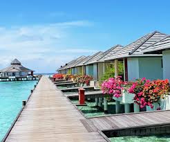 Explore the spectacular local scenery and unique culture with excursions to neighbouring islands. Sun Island Resort Spa On Twitter Stunning Water Bungalows Above A Turquoise Lagoon Will Captivate The Heart With Extraordinary Experiences And Unforgettable Memories Maldives Sunislandresort Travel Holiday Wanderlust Igtravel Instatravel