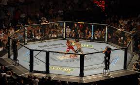 Access to ufc events, the entire ufc fight library, live martial arts events from around the world and exclusive original series and shows. List Of Ufc Events Wikipedia