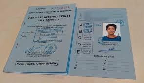 Duplicado del permiso de circulación. Como Sacarse El Carnet Internacional De Conducir Paso A Paso