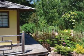 The pro is the ideal boat for fishing larger lakes with a buddy and for fishing the backyard pond with your young family. Diy Natural Backyard Pond Mother Earth News