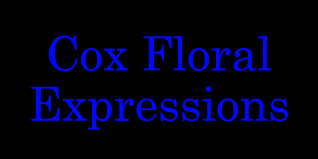John jefferson flowers memorial hall (front facade, ca. Best Florists Flower Delivery In Greenville Nc 2020