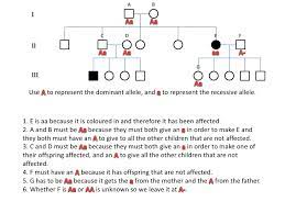 An answer key is also [filename: 34 Pedigrees Practice Worksheet Answers Worksheet Project List