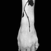 Dead rose by dznflavour on deviantart. Flowers Tags Tattoo Ideas World Tattoo Gallery Page 2