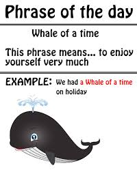 I had a whale of a time in birmingham. English Language Idioms West London English School English Language Idioms English Language English