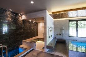 Therapeutic At Home Spa Features A Cold Plunge Pool Hot Tub Walk In Showers And Sauna Not Shown At 4 0 Depth The Cold Plunge Home Spa Sauna House Home