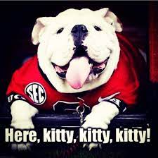 Here Kitty Kitty Sic Em Dawgs Georgia Dawgs Bulldogs Football Bulldog