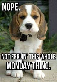 50 Random Memes For Today 824 Funnyfoto Funny Monday Memes Morning Quotes Funny Monday Humor