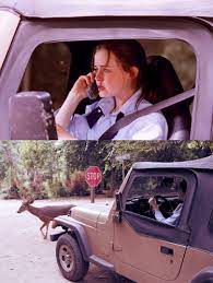 I Got Hit By A Deer You Don T Believe Me I Ve Got Antler Prints On The Side Of My Mother S Car To Prove It Gilmore Girls Girlmore Girls Glimore Girls