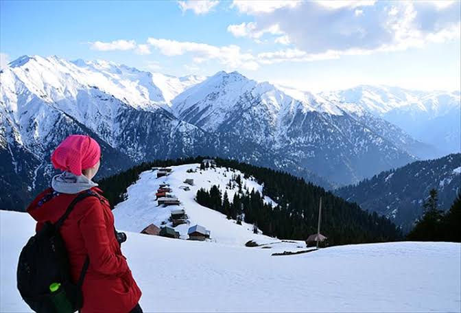 Pokut Yaylas�/Rize