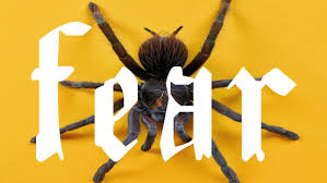 Fear—a Four-Letter Word, Defined - CU Denver News