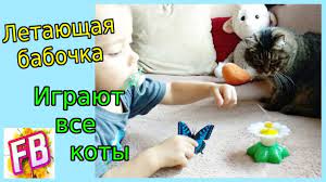 pin na doske obzory raspakovki