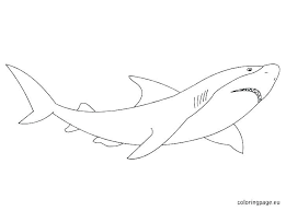 Http Toponym Info Shark Color Pages Shark Color Pages Free Shark Coloring Pages Shark Color Pa Shark Coloring Pages Family Coloring Pages Baby Coloring Pages