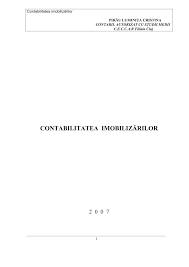Pdf Contabilitatea Imobilizarilor